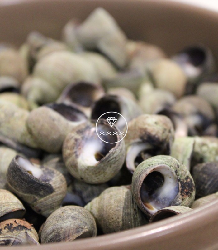 Comprar caracolillos o bígaros online | Pescadería online