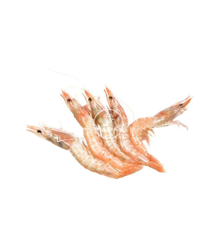 Comprar gamba blanca de Huelva especial