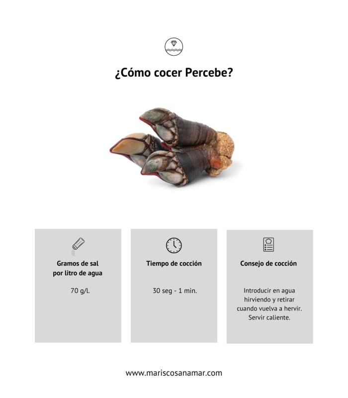 ¿Cómo cocer percebe? Tiempo de cocción del marisco