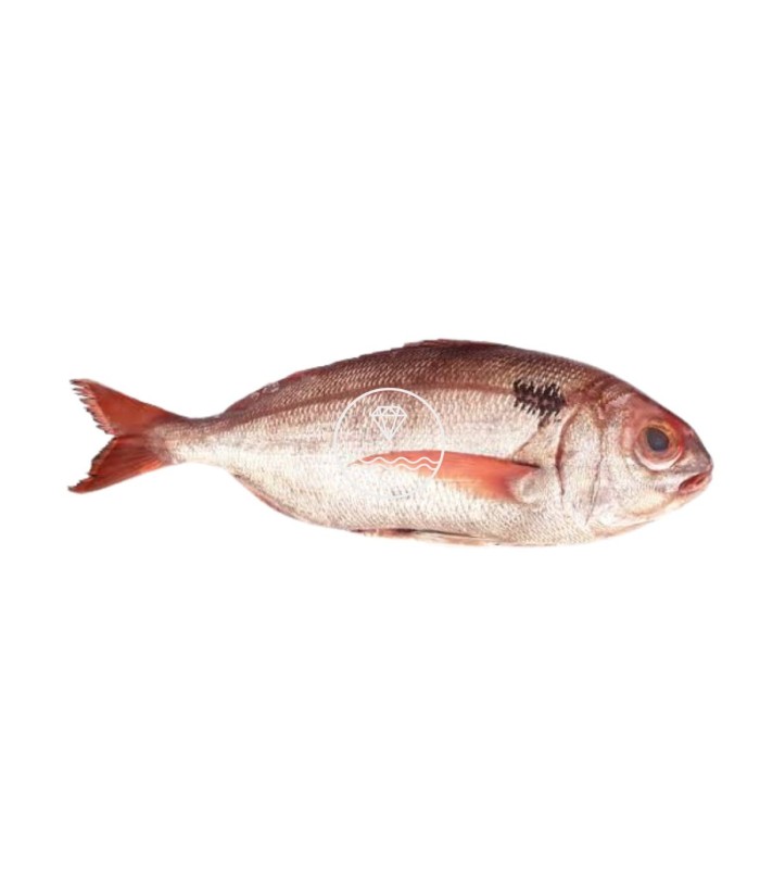 Comprar besugo online