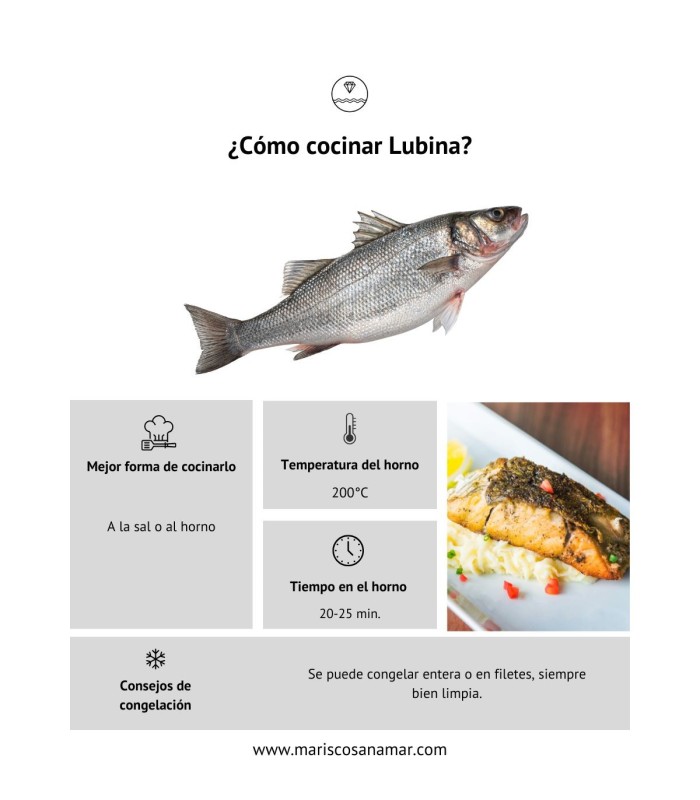 ¿Cómo cocinar lubina? La mejor forma de cocinar el pescado ¿Cómo congelar lubina?