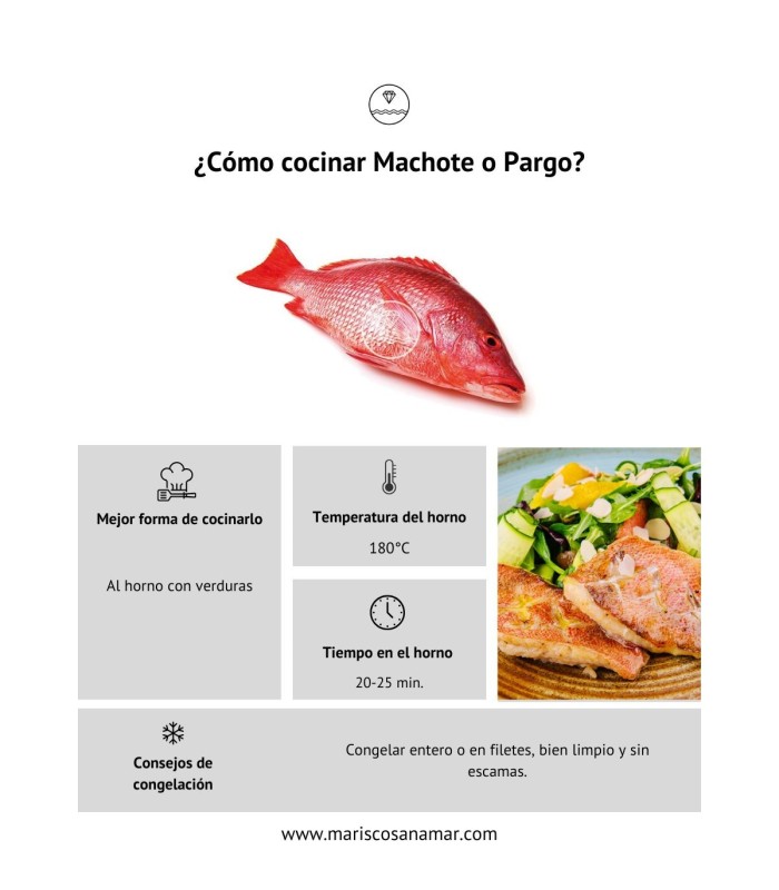 ¿Cómo cocinar machote o pargo? La mejor forma de cocinar el pescado