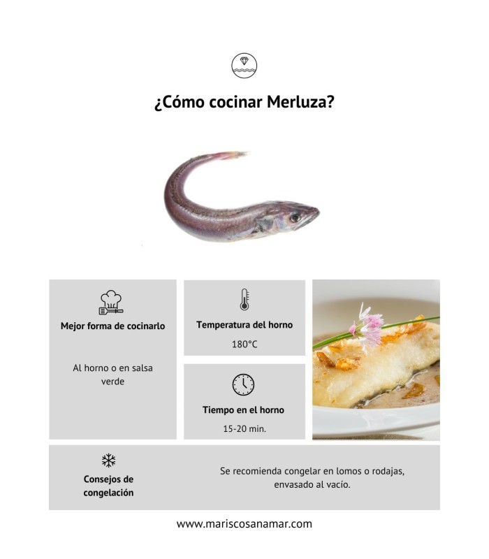 ¿Cómo cocinar merluza? La mejor forma de cocinar el pescado ¿Cómo congelar merluza?