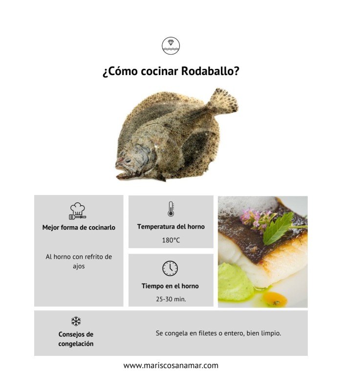 ¿Cómo cocinar rodaballo? Cómo congelar rodaballo? Comprar rodaballo online