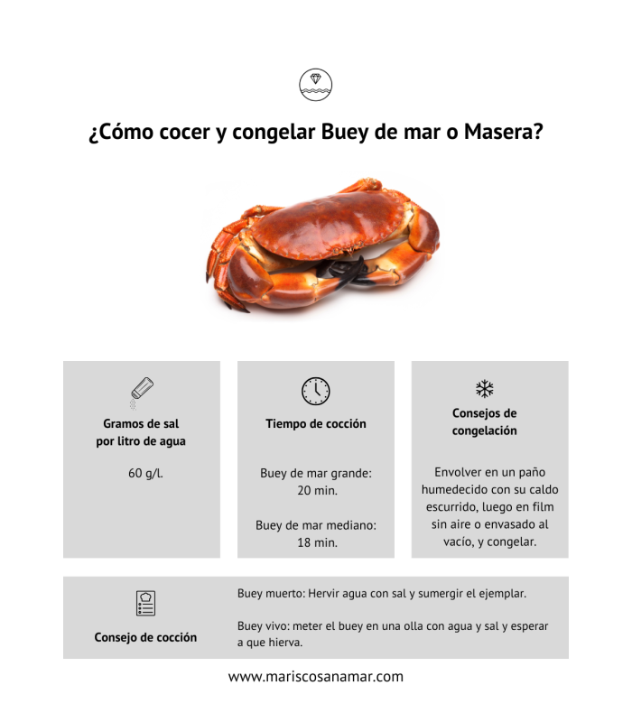 ¿Cómo cocer buey de mar? Tiempo de cocción del marisco ¿Cómo congelar buey de mar?
