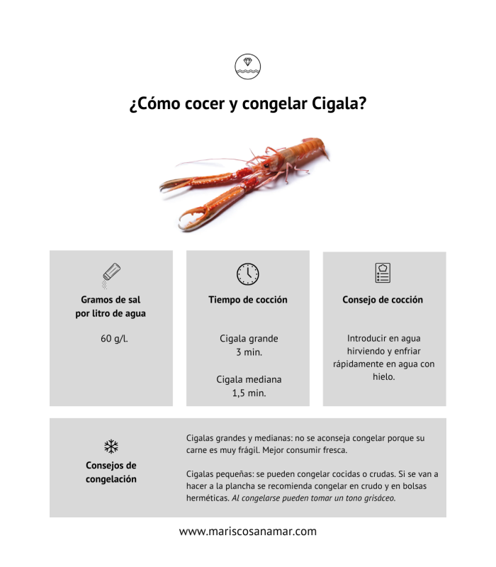 Cómo cocer centollo | Cómo congelar centollo | Cómo cocer marisco | cómo congelar marisco