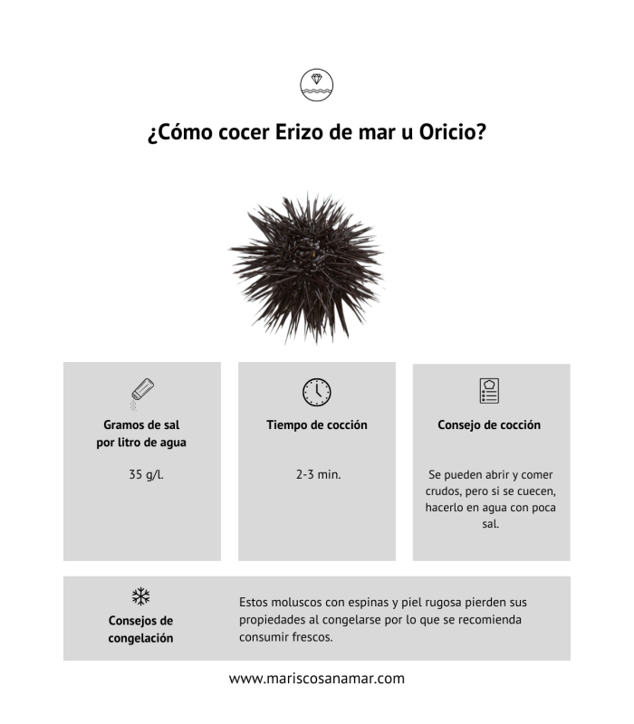 Cómo cocer erizos de mar u oricios | Cómo congelar erizos de mar u oricios | Cómo cocer marisco | cómo congelar marisco