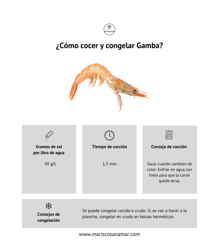 Cómo cocer gamba | Cómo congelar gamba| Cómo cocer marisco | cómo congelar marisco