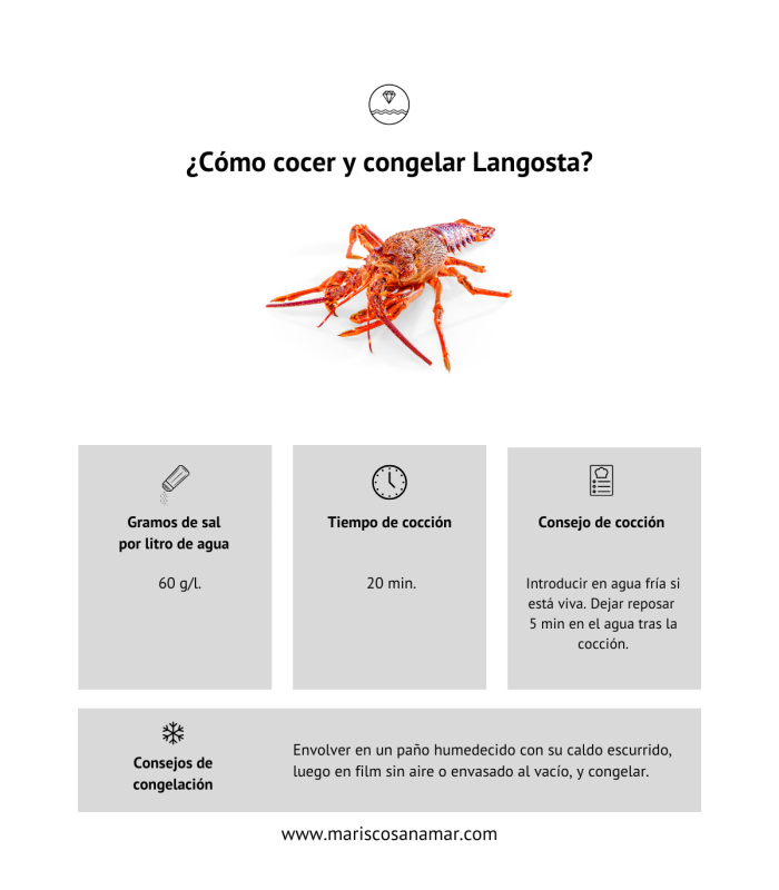 Cómo cocer langosta | Cómo congelar langosta| Cómo cocer marisco | cómo congelar marisco