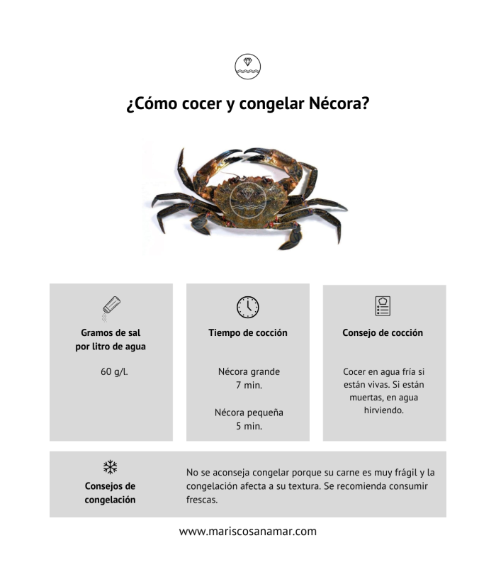 Comprar nécora del Cantábrico gorda | Mariscos Anamar | Envío en 24 horas