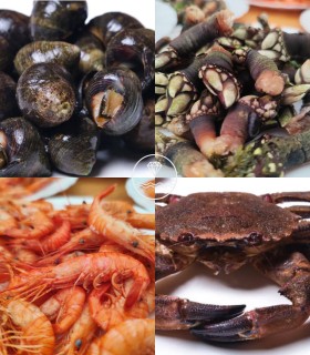 Aperitivo de marisco online