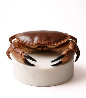 Buey gigante de mar del Cantábrico | comprar buey de mar | Comprar masera