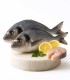 Comprar dorada del Cantábrico | Pescaderia online | ¡Pescados a domicilio!