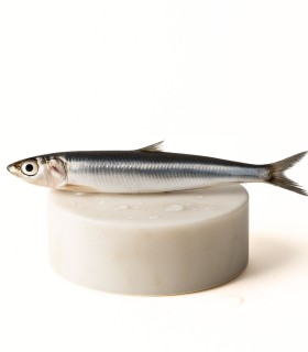 Comprar sardinas online | Pescadería online