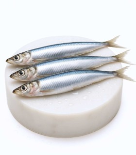 Comprar bocarte online