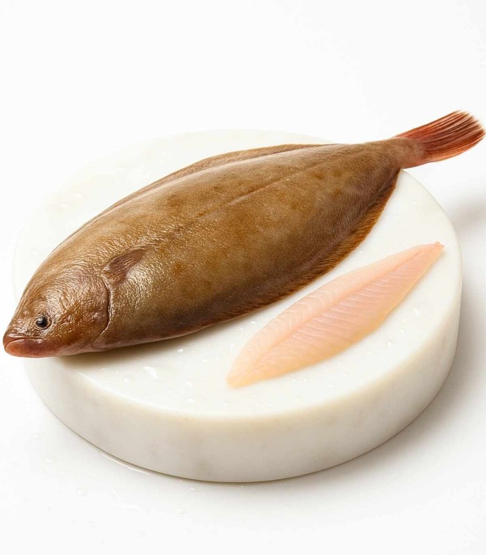 Comprar lenguado online