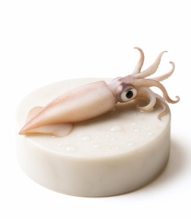 Comprar maganos online | Pescadería online