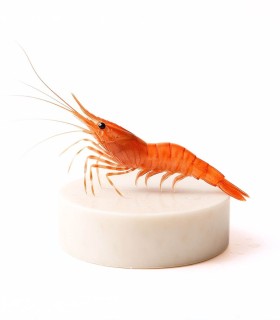 comprar camarón extra de la ría | compara camarón online