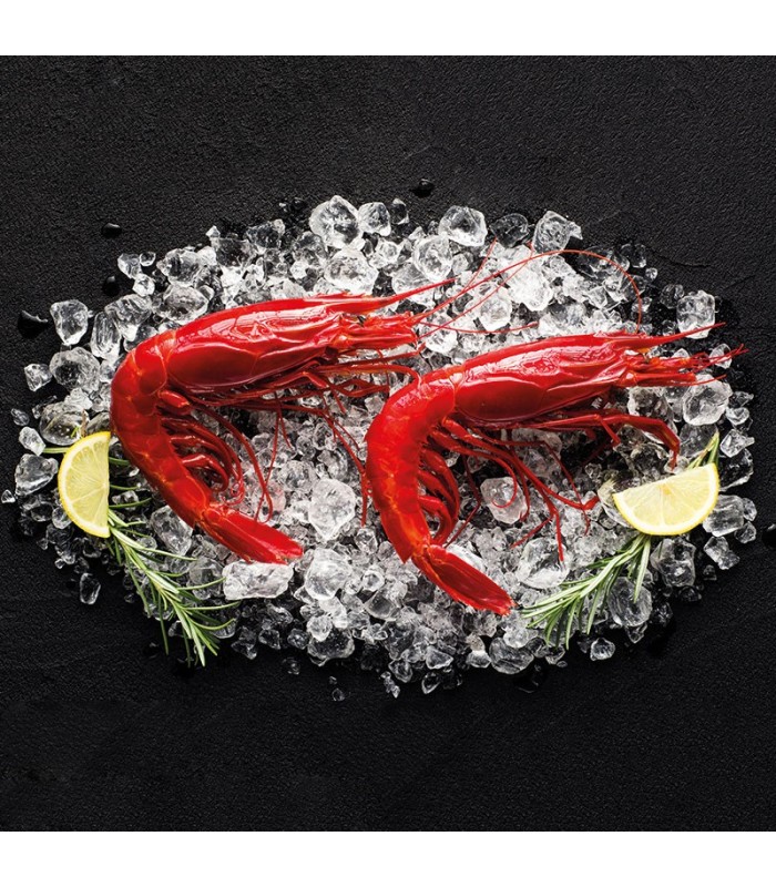 Comprar carabinero fresco de Huelva