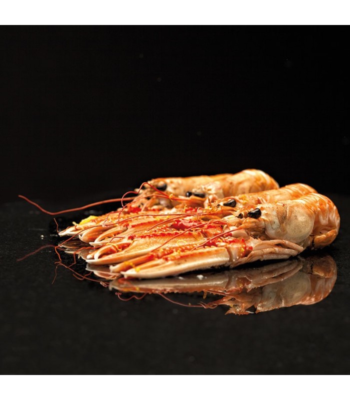 Cigala del Cantábrico gorda online