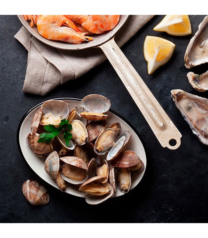 Comprar almeja de Carril semicultivo