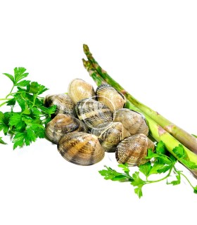 Almeja de carril semicultivo, mariscos a domicilio