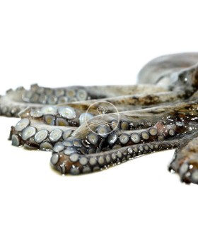 comprar Pata de pulpo gallego cocido