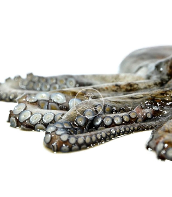 comprar Pata de pulpo gallego cocido