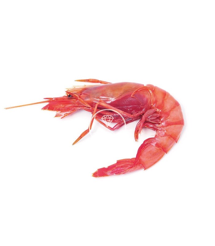 Gamba roja de Palamós