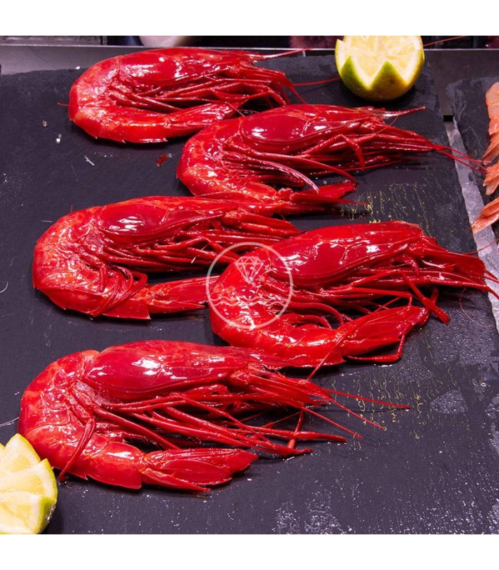 Comprar carabinero fresco de Huelva