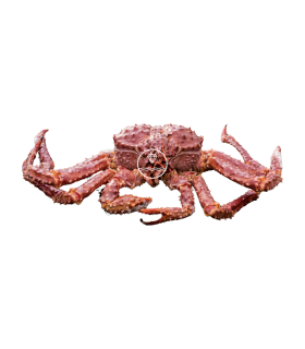 Comprar cangrejo real | Comprar marisco online