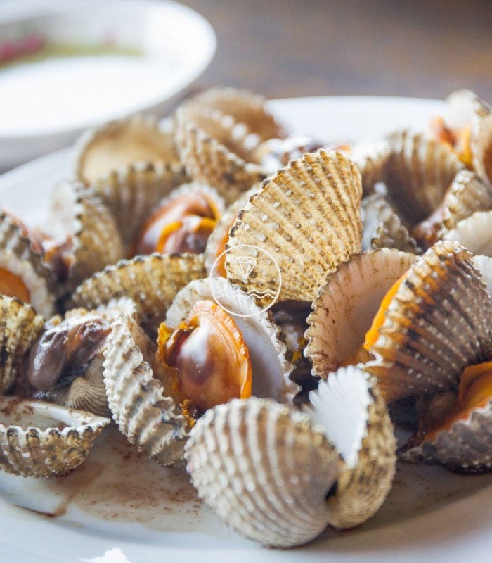 Comprar berberecho gordo online |Comprar marisco | ¡Envío en 24 horas!