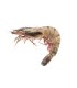 comprar Langostino online