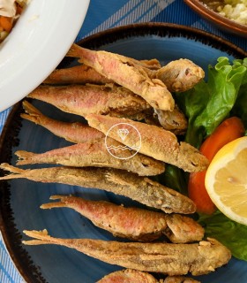 Salmonete del Cantábrico