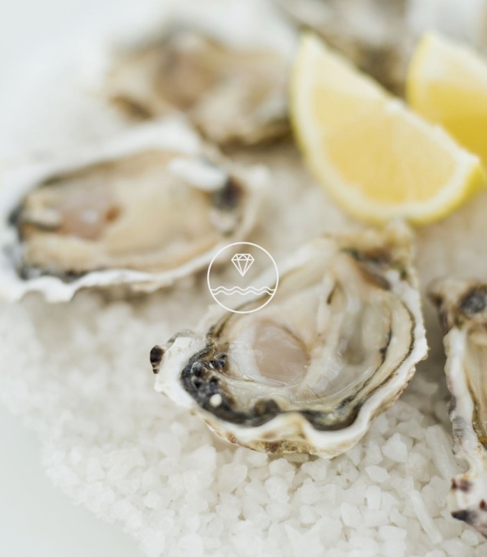 Comprar ostras de Arcade extra