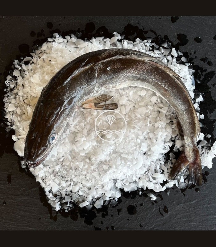 Comprar merluza online