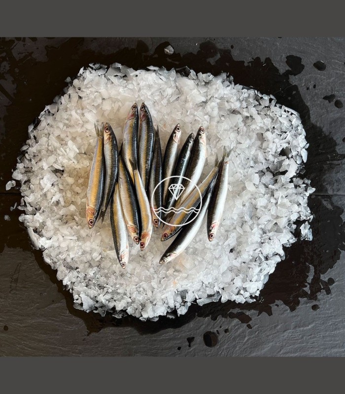 Comprar bocarte online