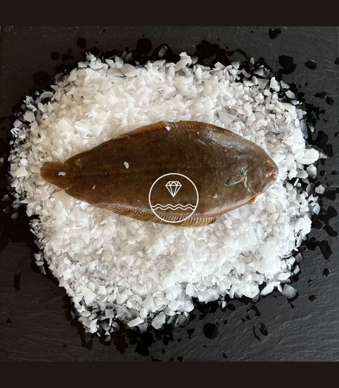 Comprar lenguado online