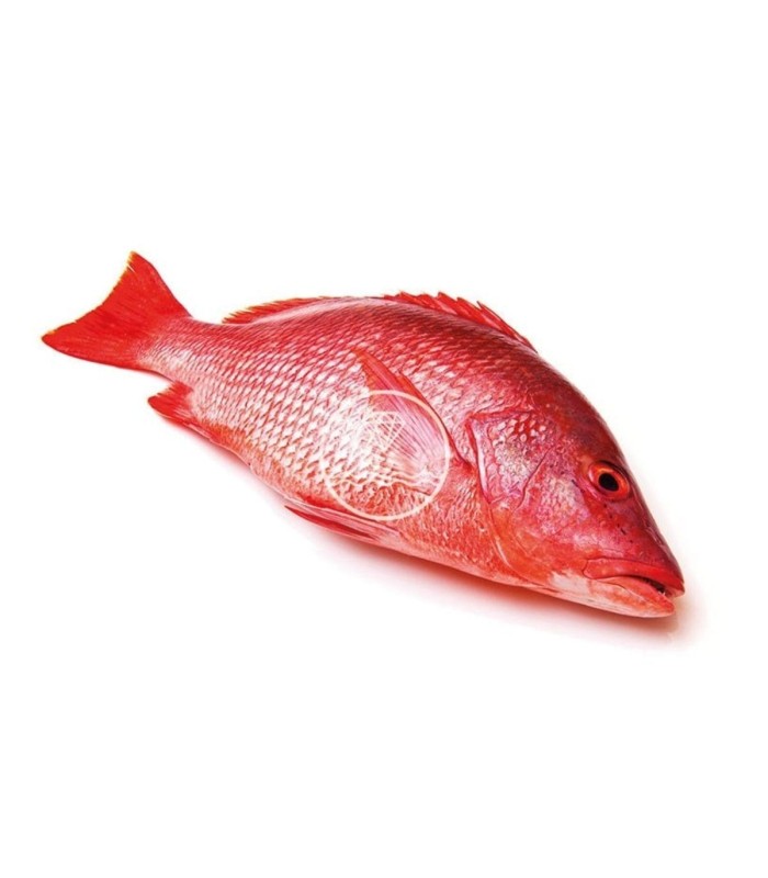 Comprar machote o pargo online