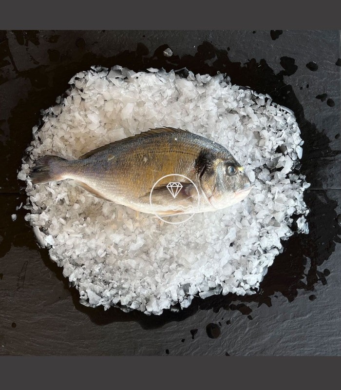 Comprar dorada online