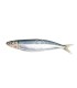 Comprar sardinas online | Pescadería online