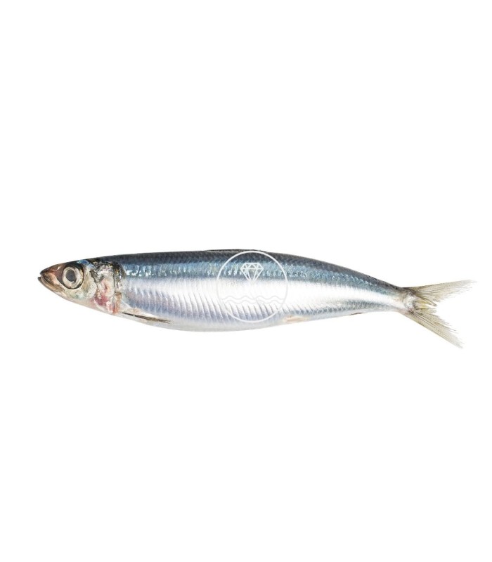 Comprar sardinas online | Pescadería online