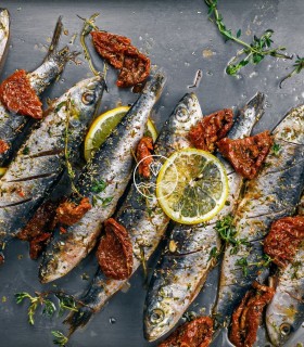 Sardinas (abril-octubre)