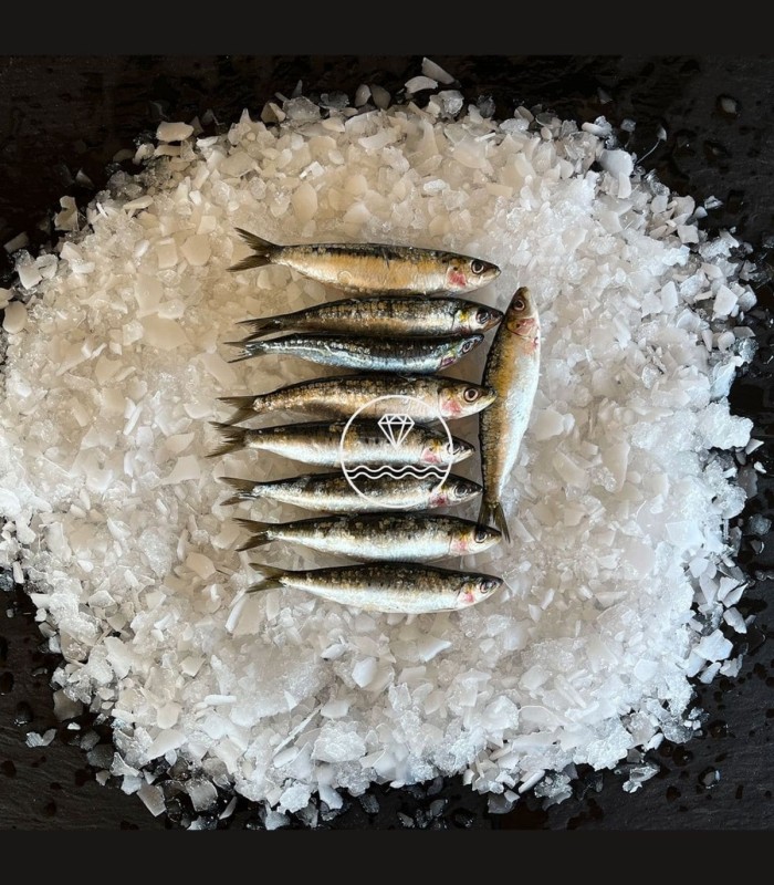 Comprar sardinas online | Pescadería online