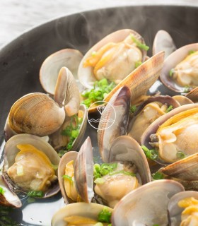 Almeja fina gallega mediana