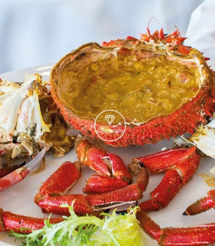 Centollo de las rías gallegas