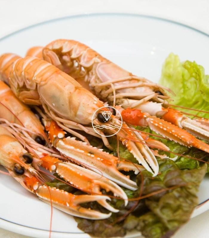 Comprar cigala del Cantábrico gorda