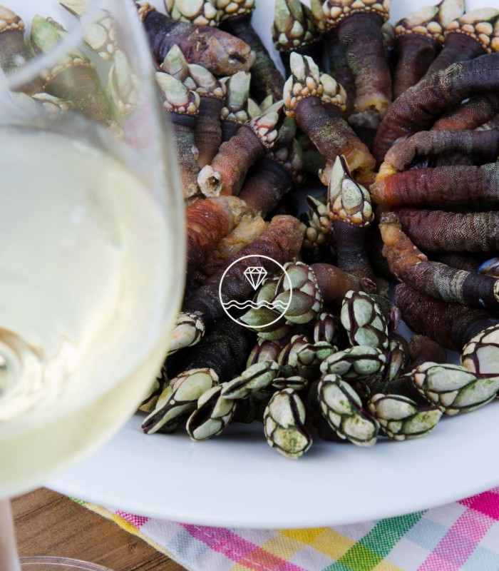 Comprar percebe gallego gordo | Comprar mariscos gourmet  | ¡Compra ahora!