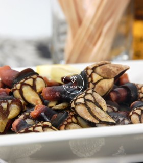 Percebe gallego especial