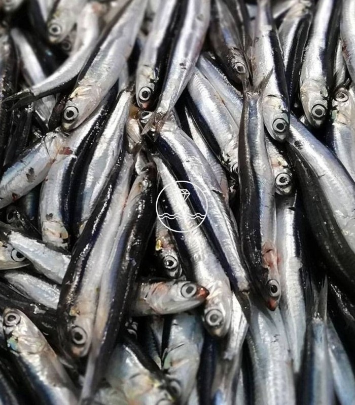 Comprar bocarte online